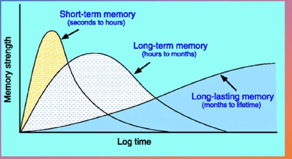 ¿Podemos estudiar la memoria dibujándola? Engramas neuronales