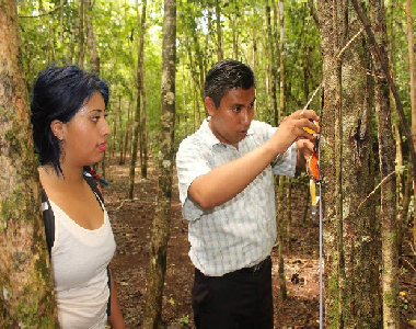 Universitarios visitan la Cooperativa Eco-turística Síijil Noh Há del Ejido Felipe Carrillo Puerto
