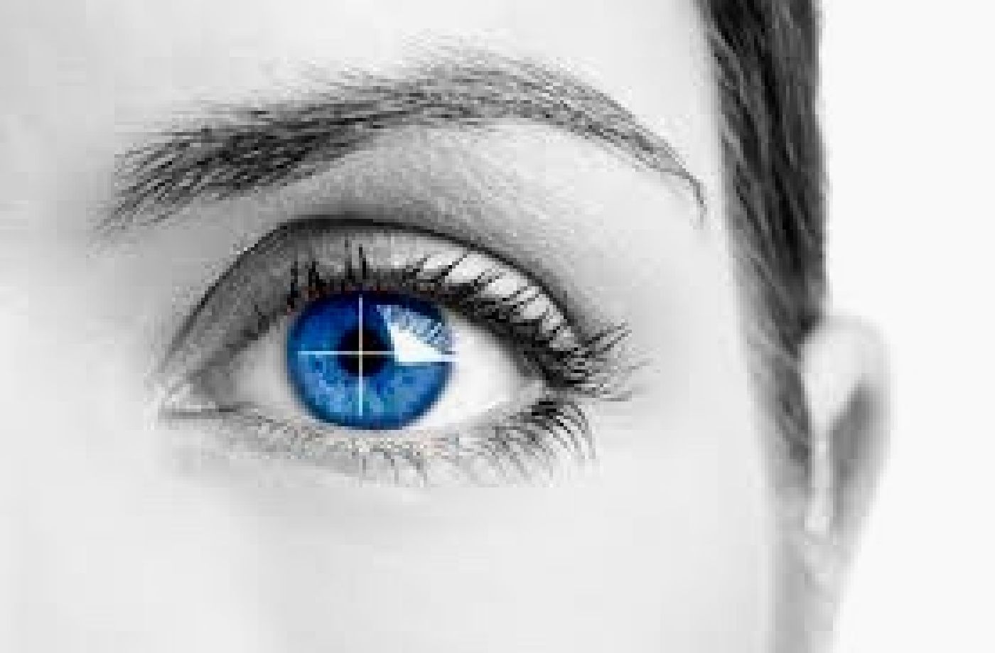 UQRoo cuenta con equipo detector de mentiras mediante el análisis del comportamiento del ojo 
