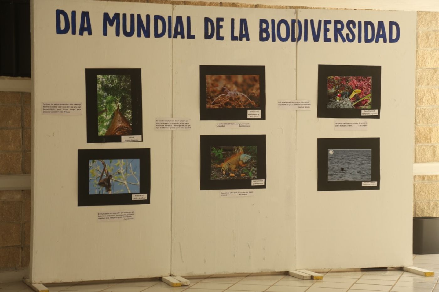 UQRoo celebró el Día Mundial de la Biodiversidad