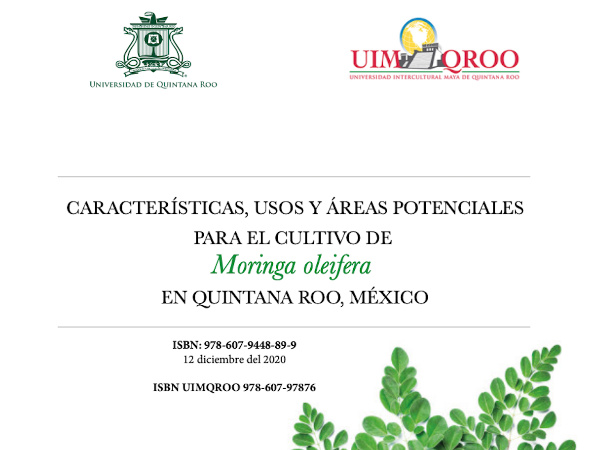 Sur de Quintana Roo cuenta con alto  potencial para el cultivo de la Moringa