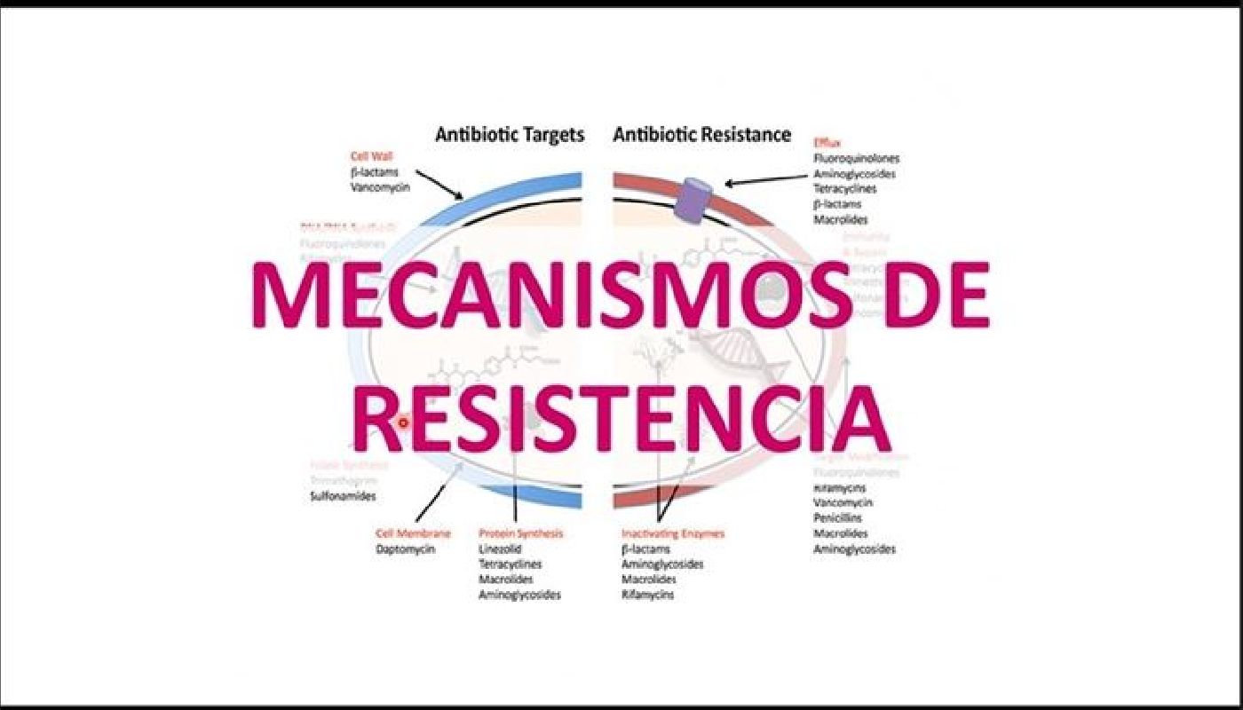 Propagación de superbacterias y microorganismos, un riesgo para la salud pública global, por resistencia a los antibióticos