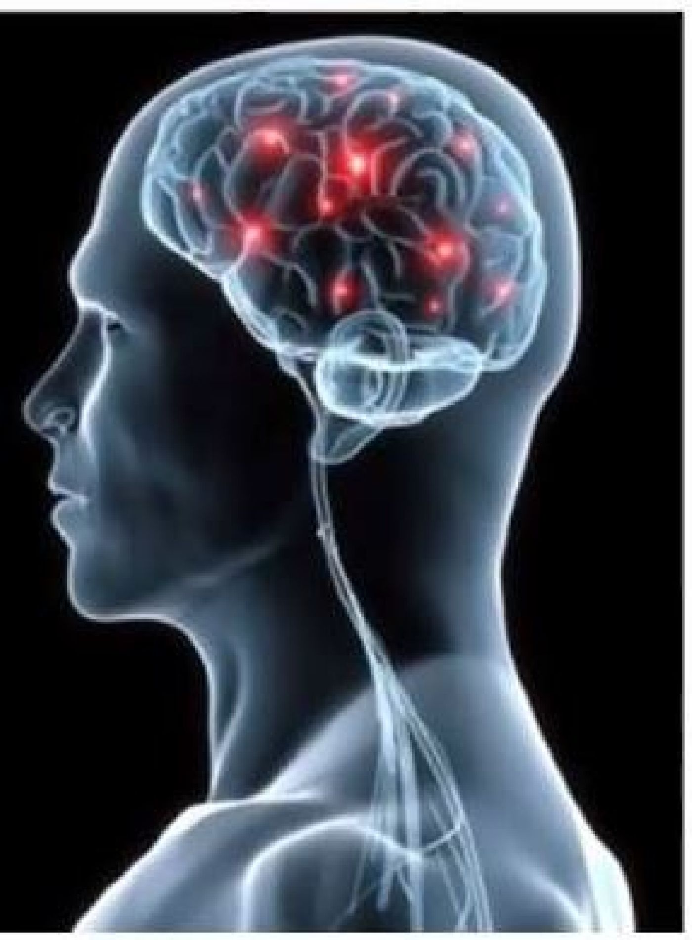 Desarrollan IX Semana de Neurociencias Semana del Cerebro 2023
