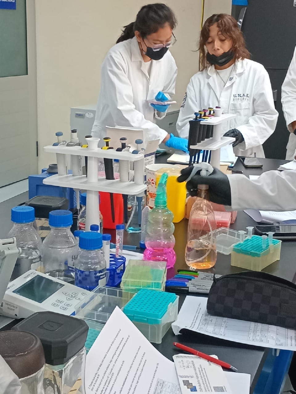 Image did not load...