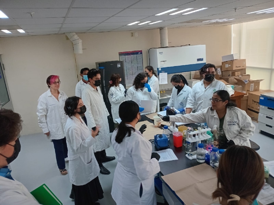 Image did not load...