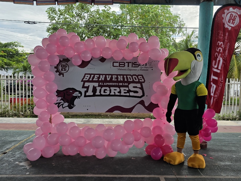 Image did not load...