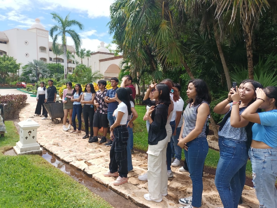 Image did not load...