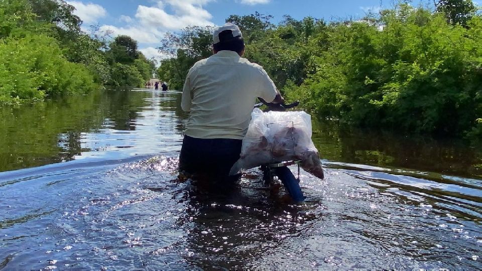 Image did not load...