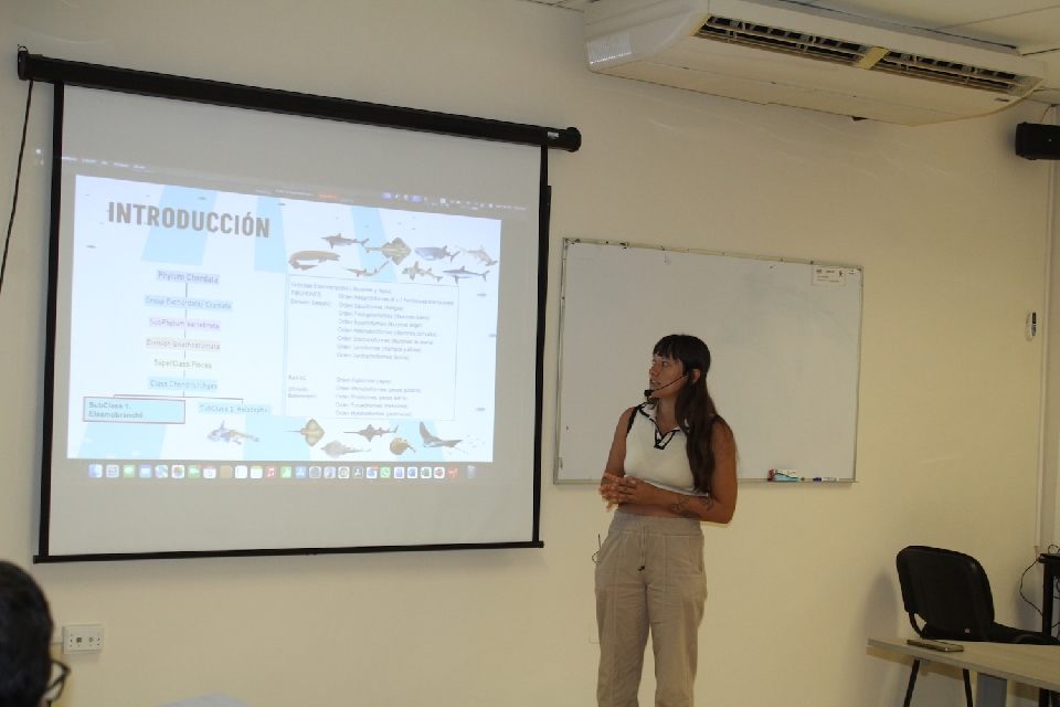 Image did not load...