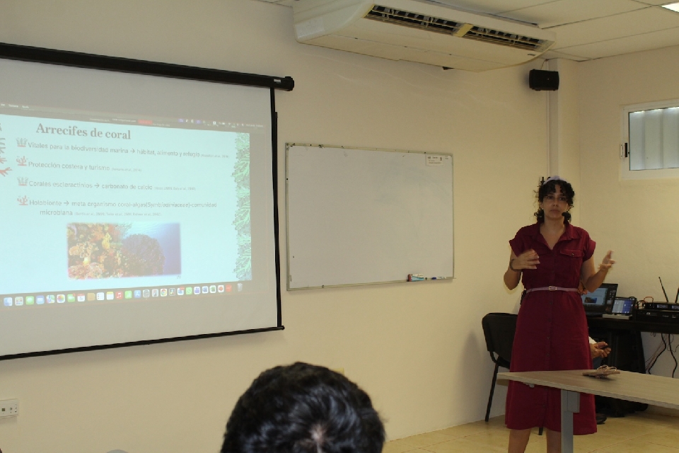 Image did not load...