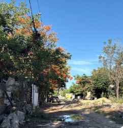 Image did not load...