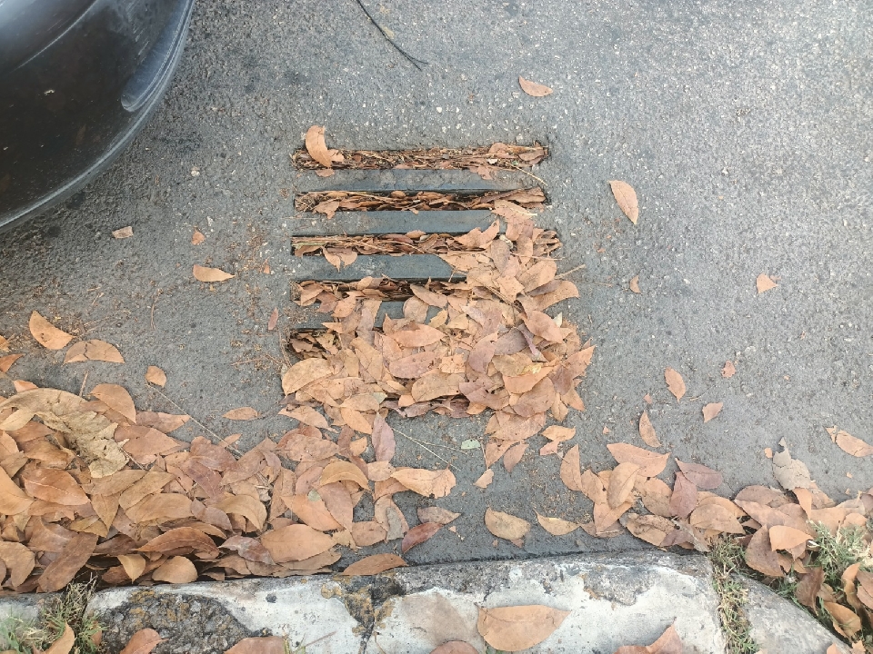 Image did not load...