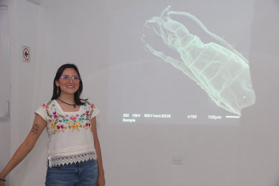 Image did not load...