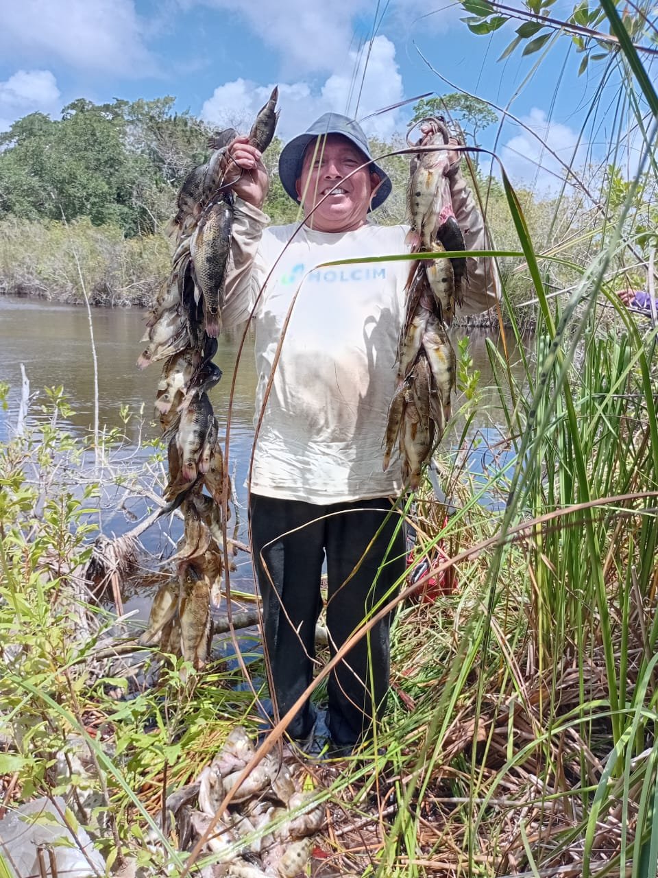 Image did not load...