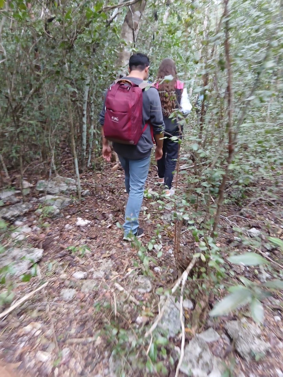 Image did not load...