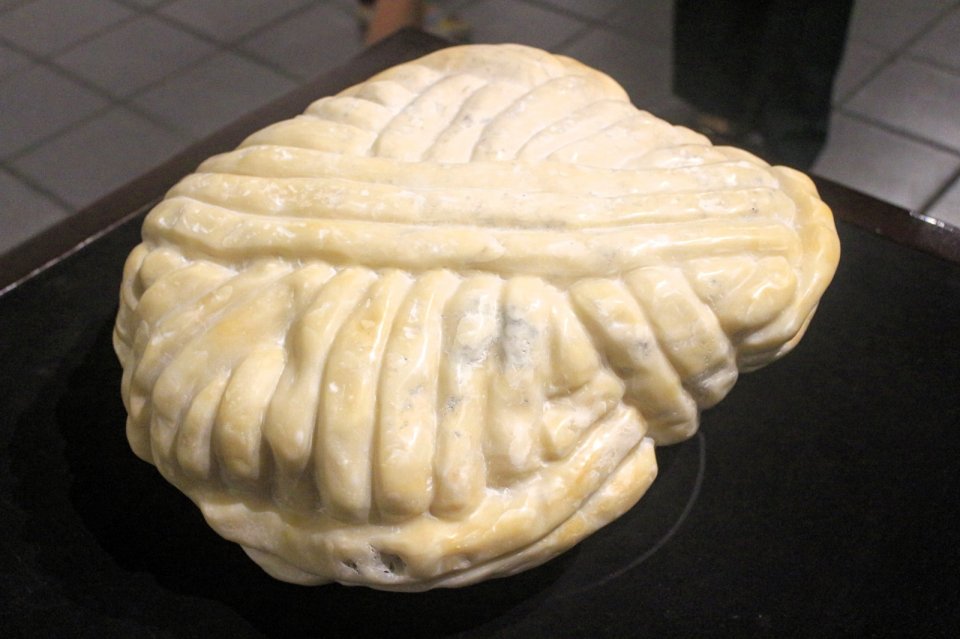 Image did not load...