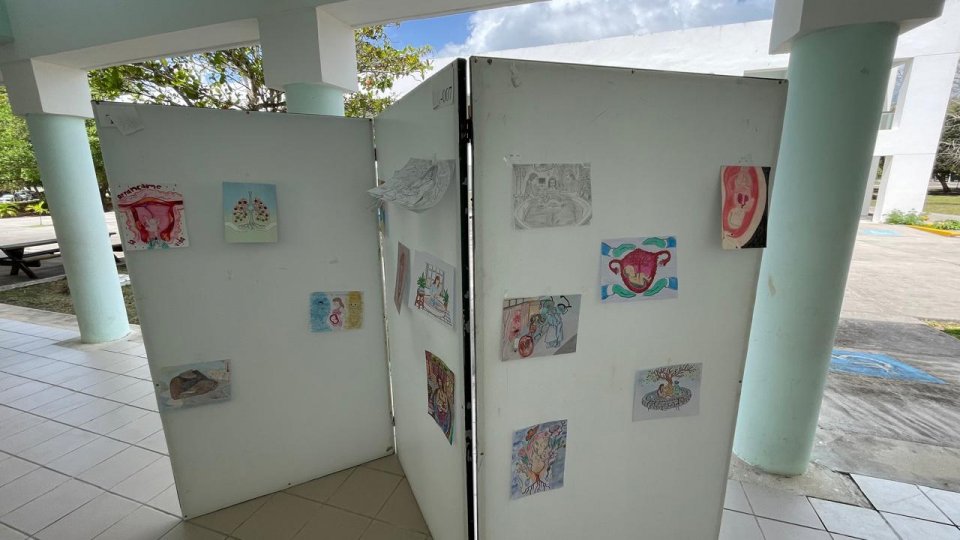 Image did not load...