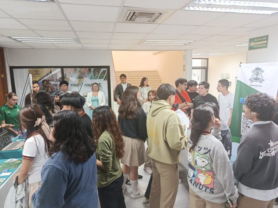 Image did not load...