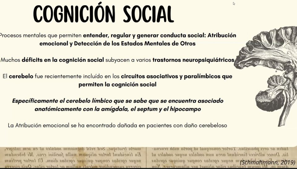 Image did not load...