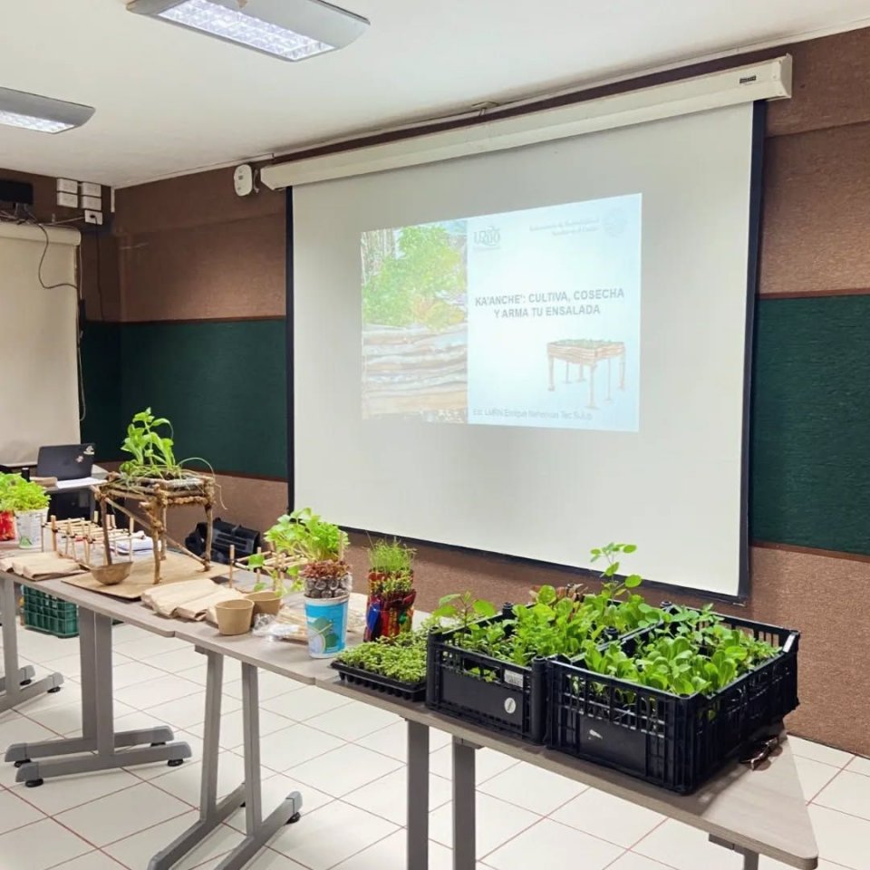 Image did not load...