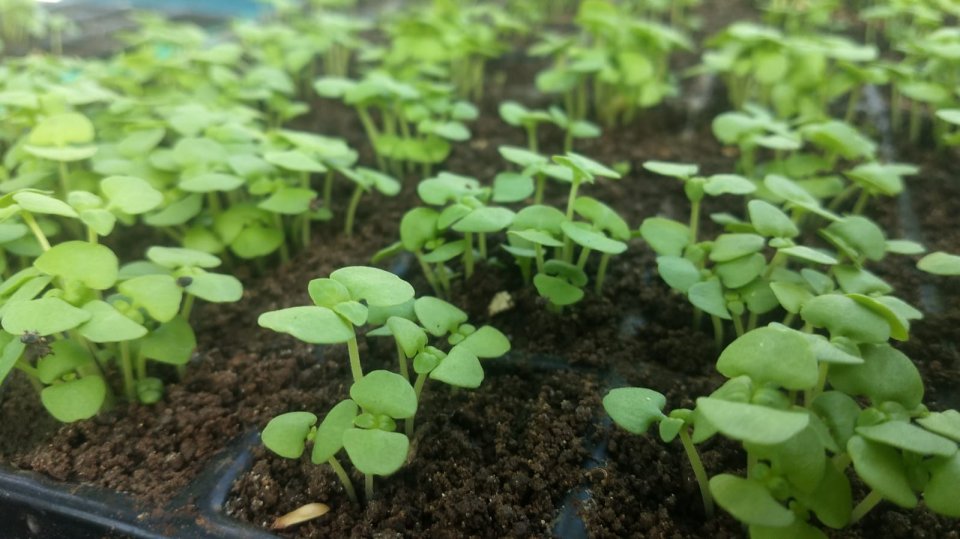 Image did not load...