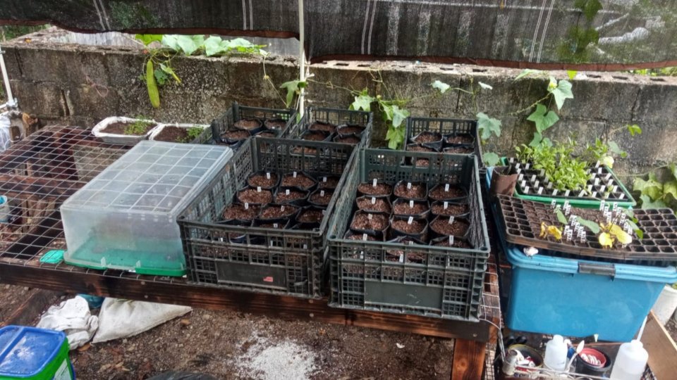 Image did not load...