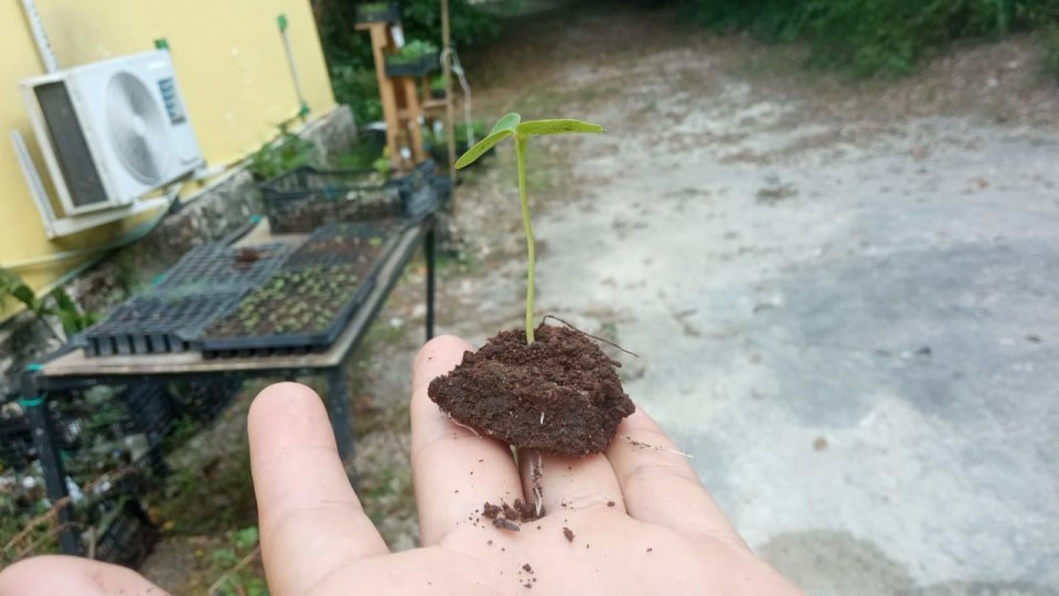 Image did not load...