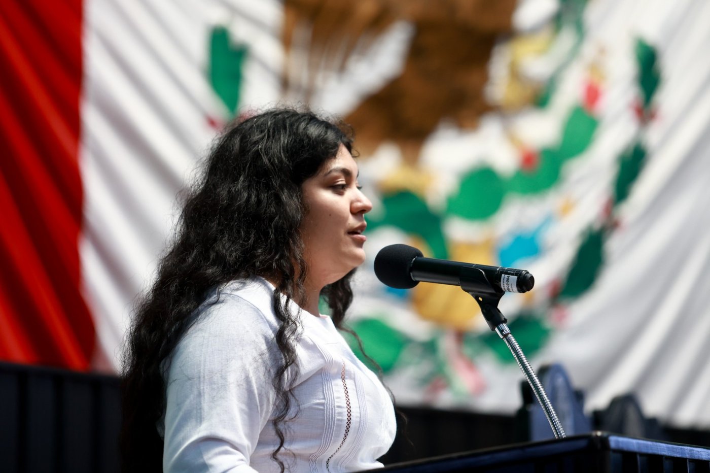 Alumna comparte su experiencia en Parlamento para la Inclusión de las Personas con Discapacidad