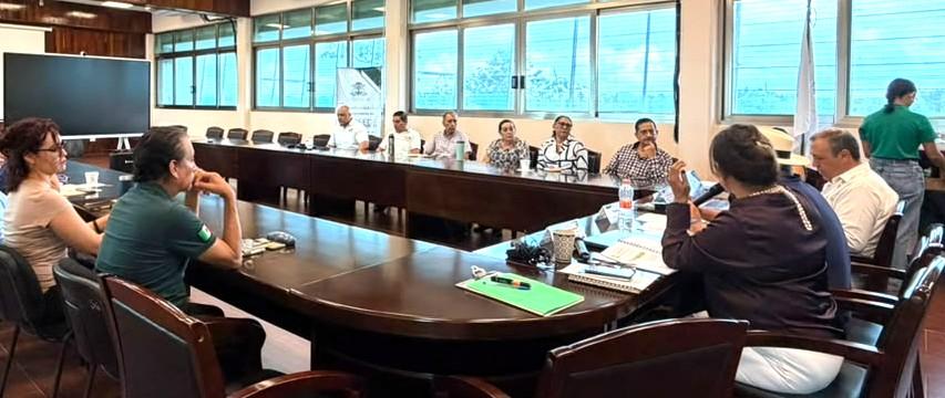 Licenciatura en Derecho de UQRoo en Playa del Carmen espera dictamen de reacreditación - galería 4