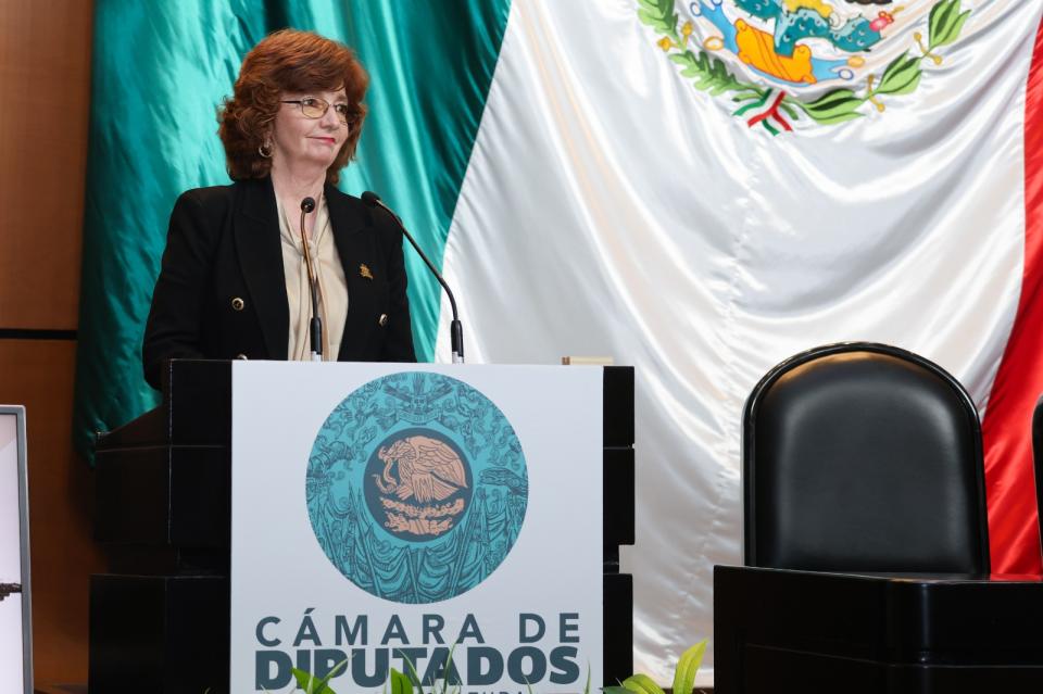 Rectora de UQROO plantea en Cámara de Diputados fortalecer presupuesto de universidades públicas - galería 4