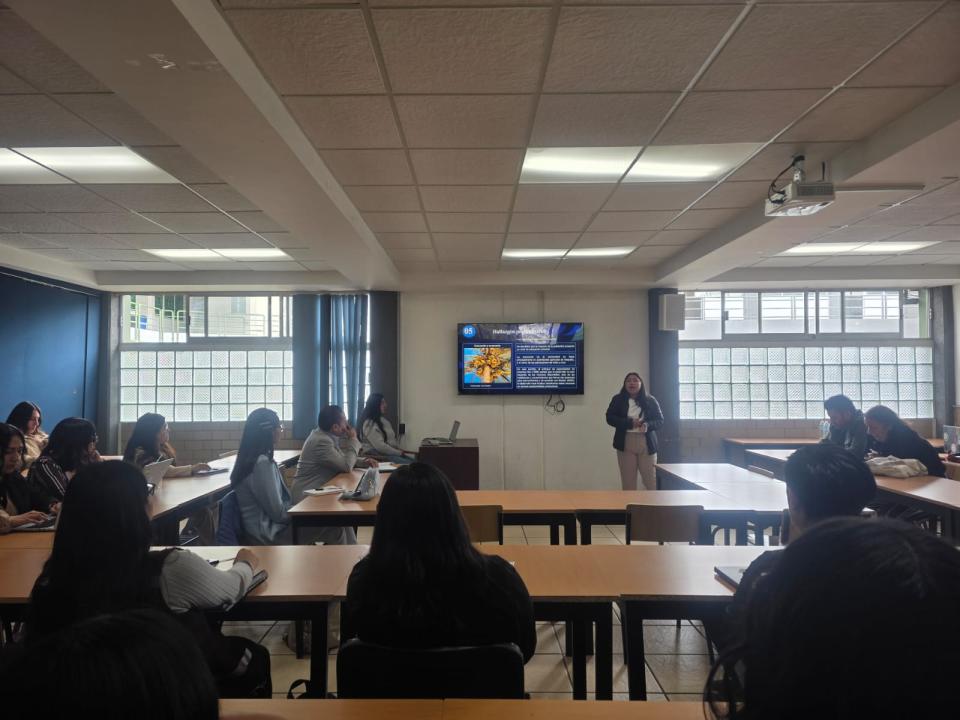Turismo comunitario y apiturismo, temas de estudiantes de UQRoo en seminario internacional - galería 4