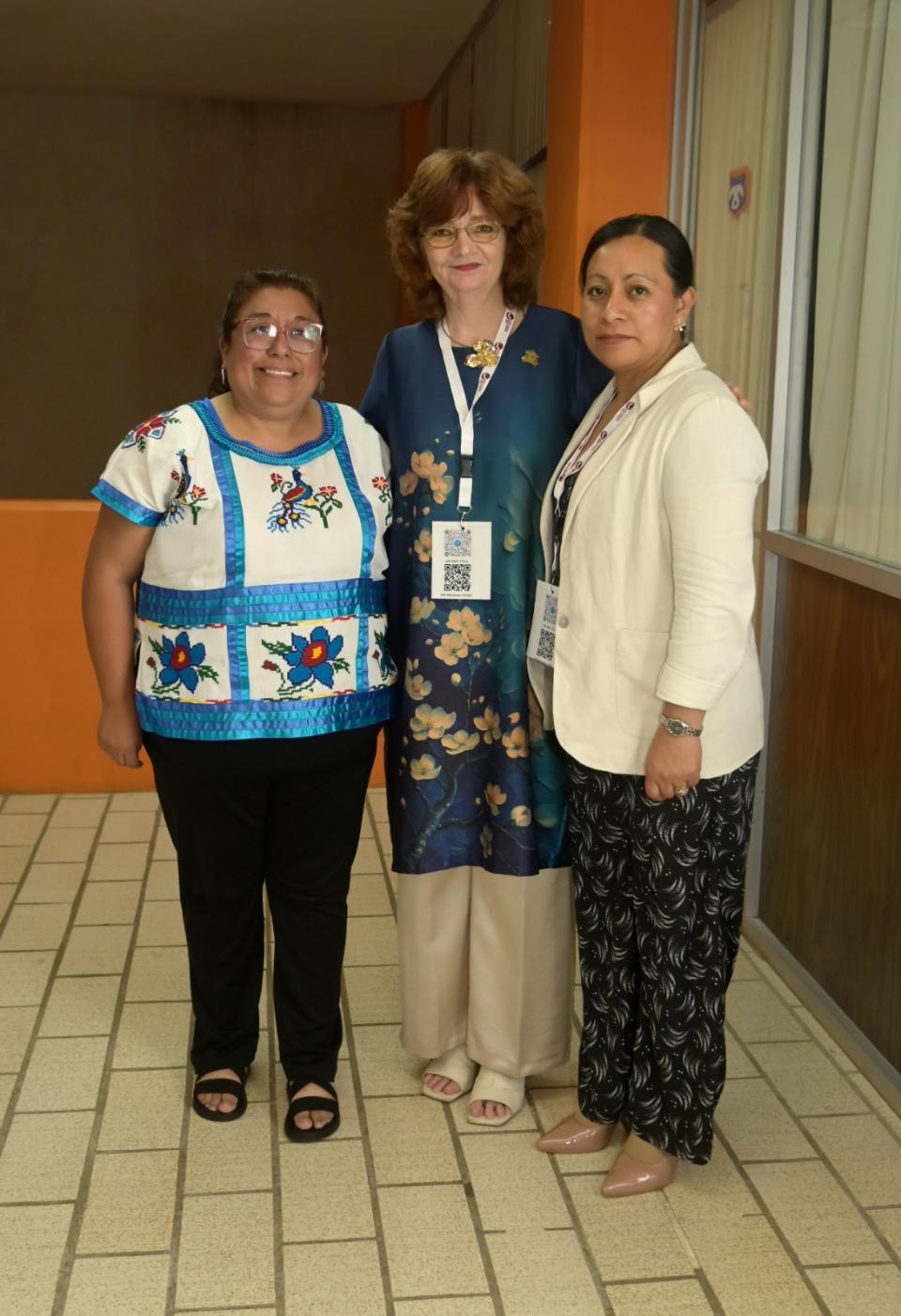 UQRoo fortalece colaboración regional durante la Segunda Sesión Ordinaria del Consejo Regional Sur-Sureste de la ANUIES - galería 32