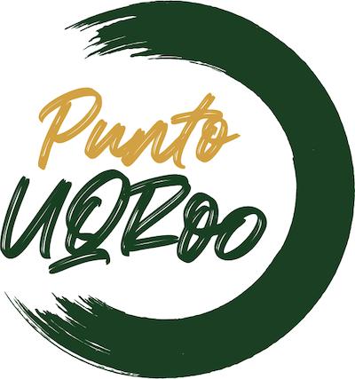 Programa Punto UQRoo comparte resultados y experiencias con la UNAM - galería 4